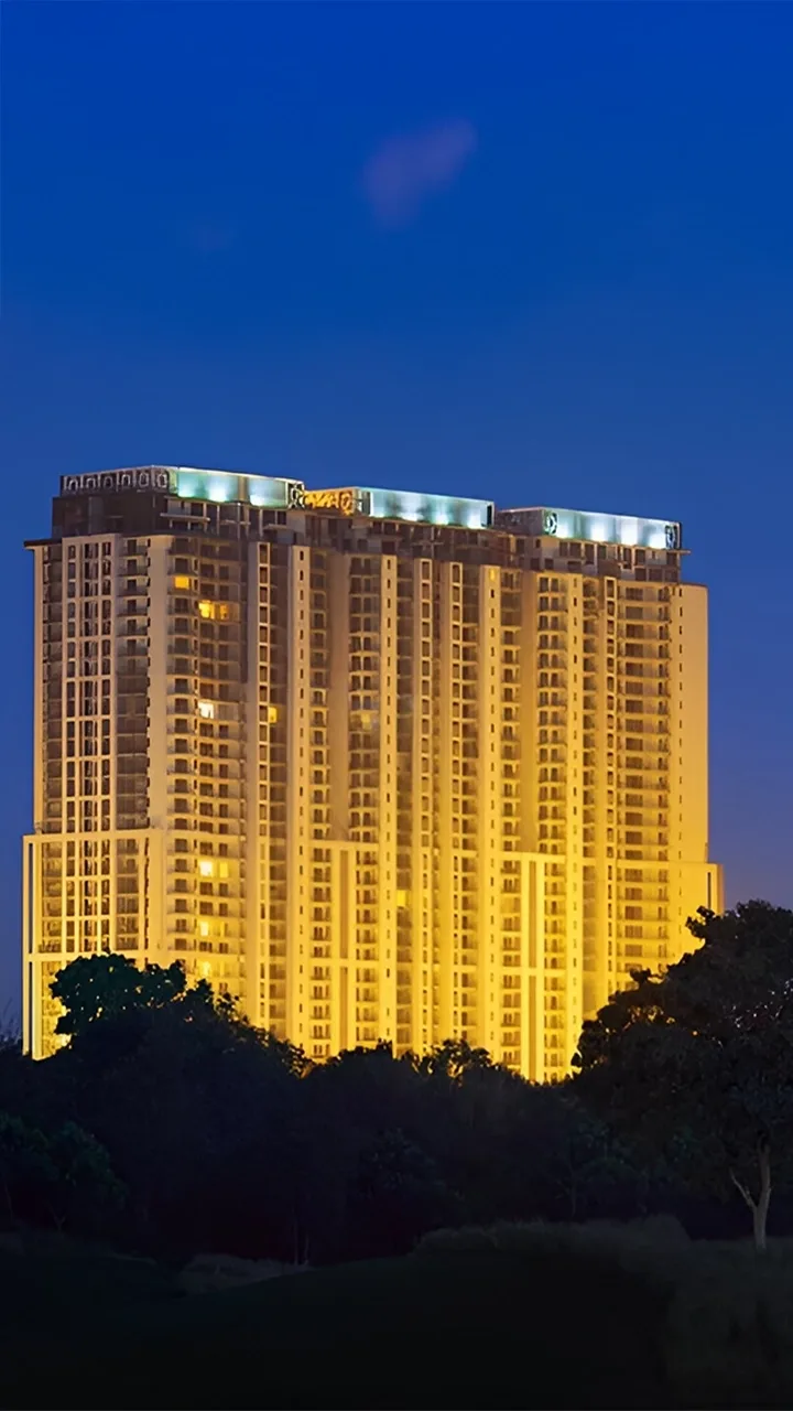 DLF